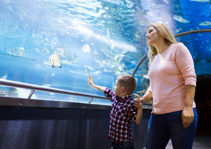 Georgia Aquarium - Atlanta