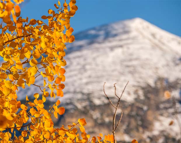 Rocky Mountain Tour