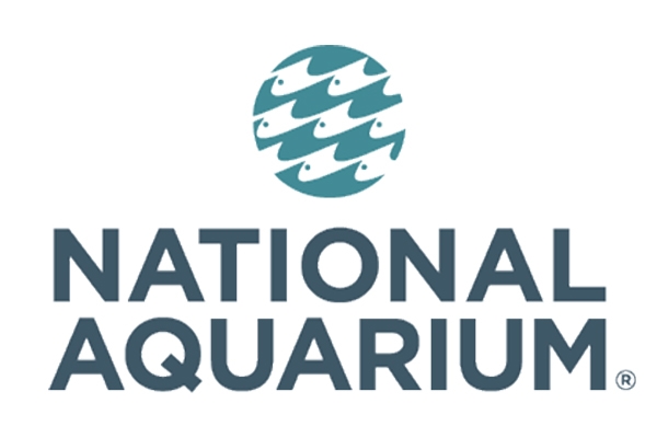 Things to Do in Baltimore - National Aquarium