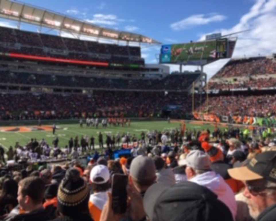 Cincinnati Bengals Travel Packages