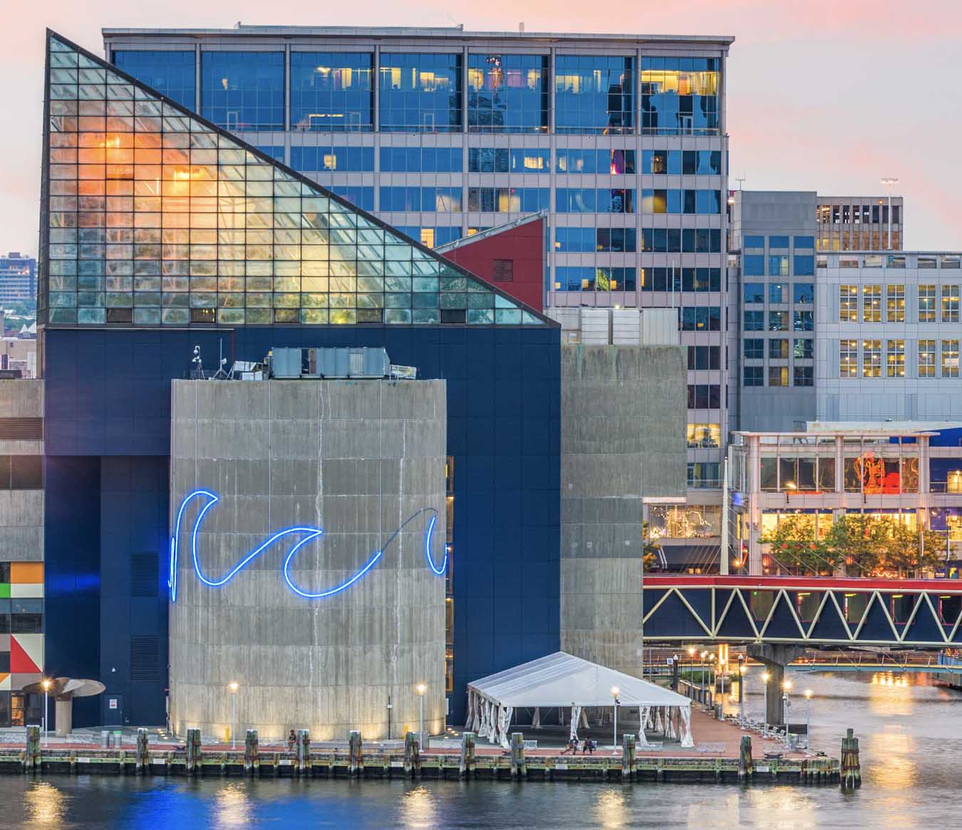 Things to Do in Baltimore - National Aquarium 