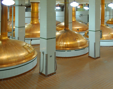 Things to Do in Denver - Coors Brewery Tour 