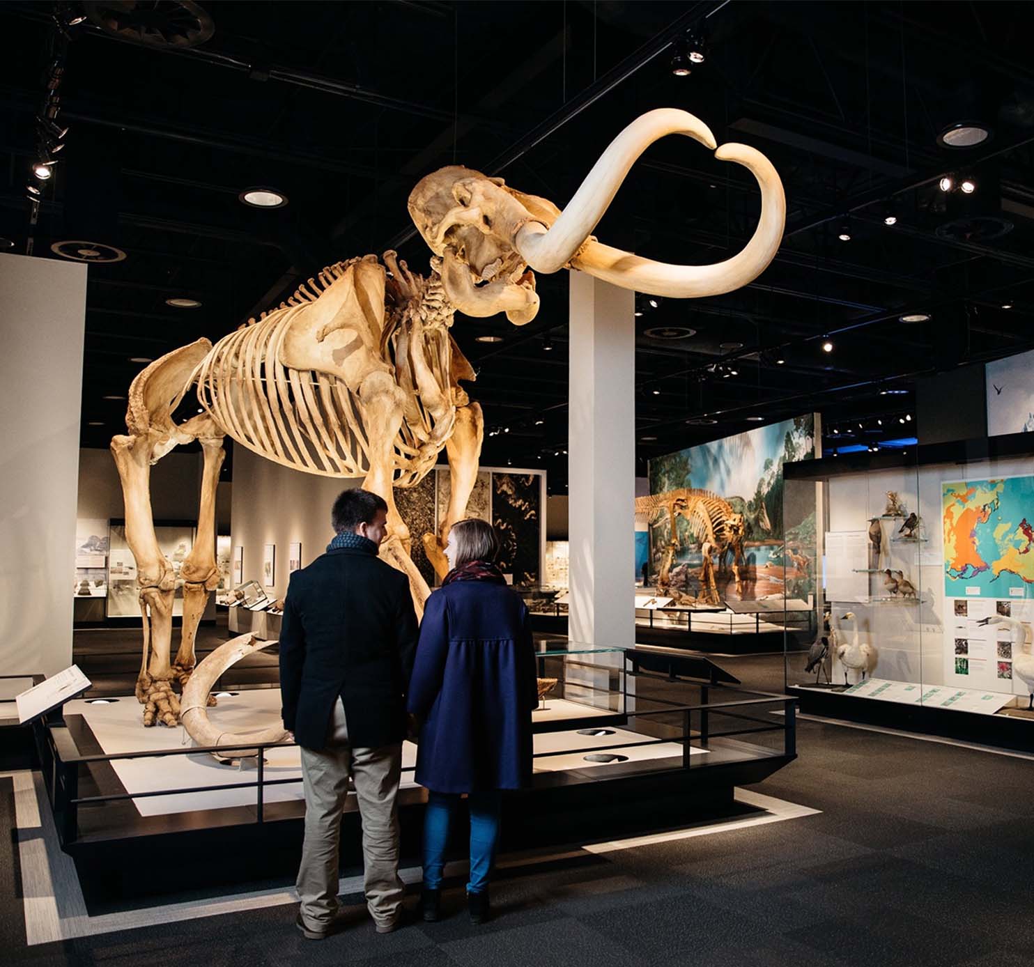 Things to Do in Edmonton - Royal Alberta Museum 