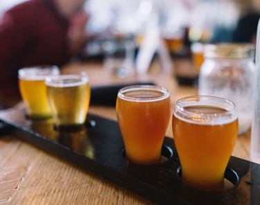 Things to Do in Winnipeg - Beer Tasting Tour 