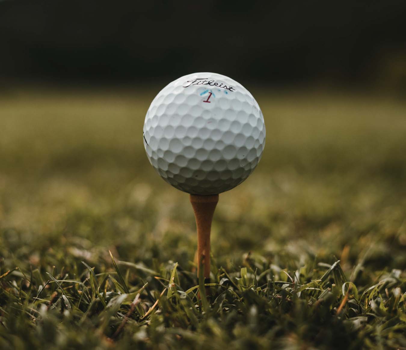 Things to Do in Tampa Bay - Golf in Tampa