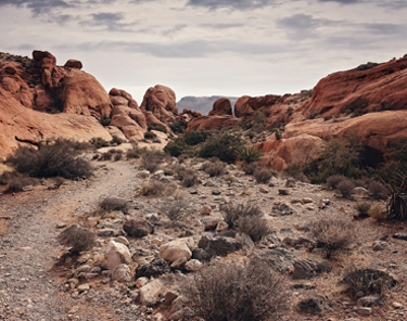 Things to Do in Las Vegas - Red Rock Canyon National Conservation Area