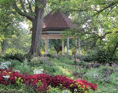 Things to Do in St. Louis - Lafayette Square