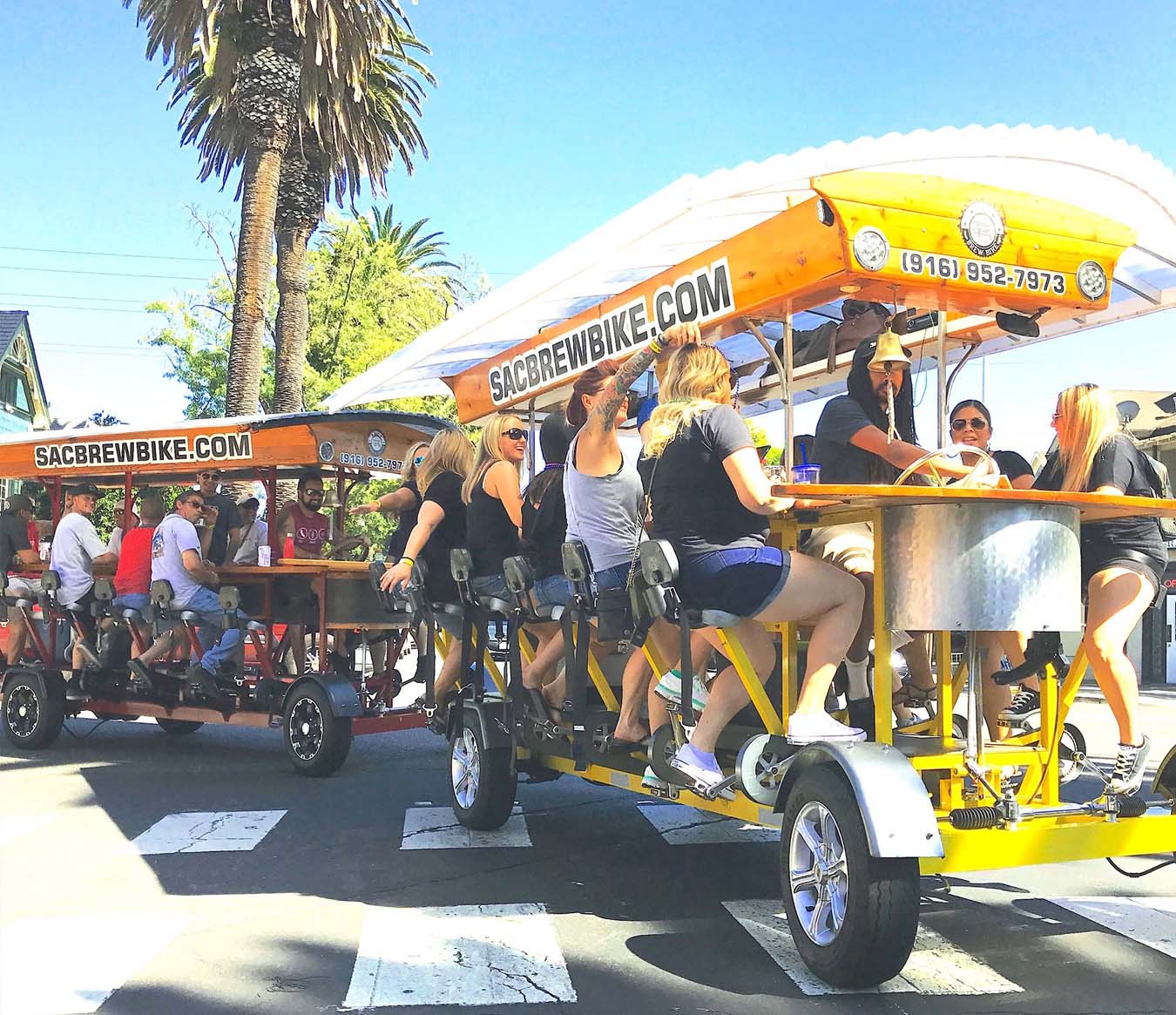 Things to Do in Sacramento - Sac Brew Bike