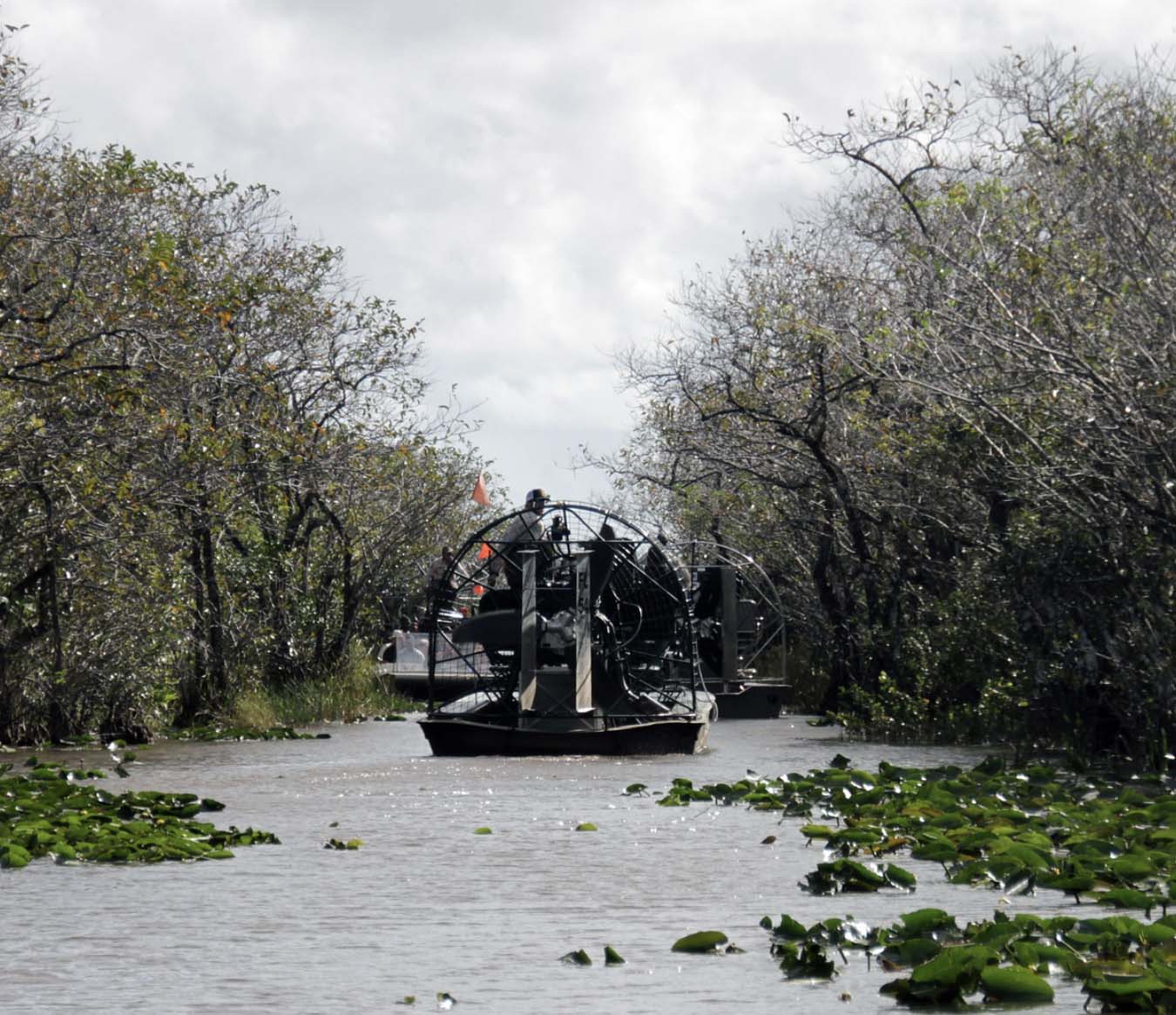 Things to Do in Miami - Florida Everglades Tour