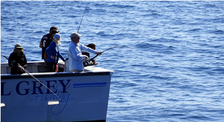 Things to Do in Miami - Deep Sea Fishing