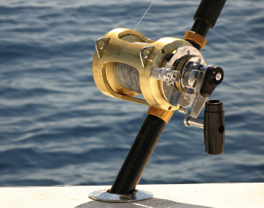 Things to Do in Miami - Deep Sea Fishing