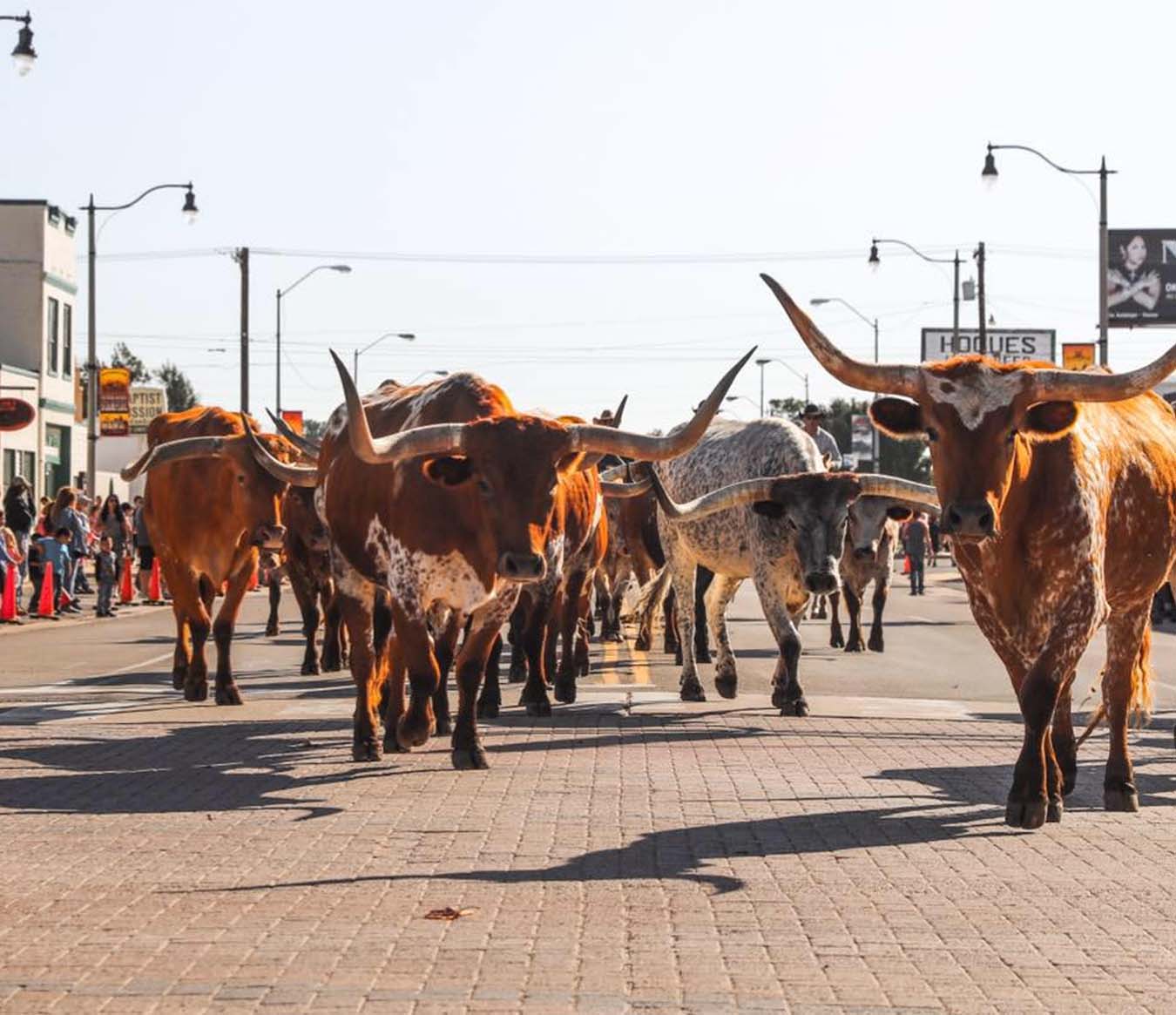 Things to Do in Oklahoma City - Stockyard City