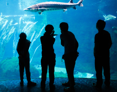 Things to Do in Montreal - Montreal Biodome