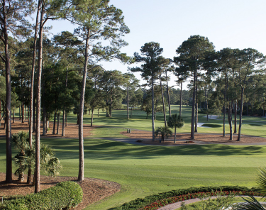 Things to Do in Raleigh - Golf in Raleigh 