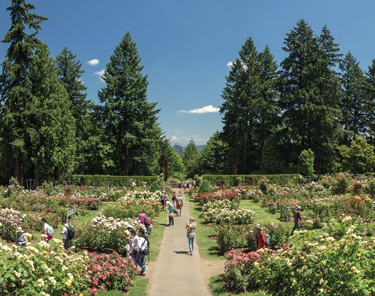 Things to Do in Portland - Washington Park