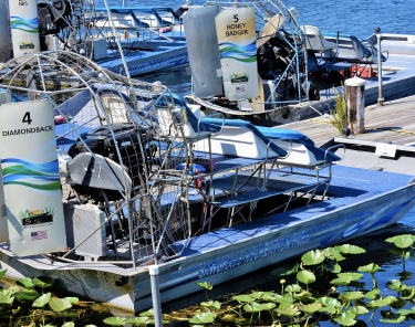 Things to Do in New Orleans - Gator Tour 