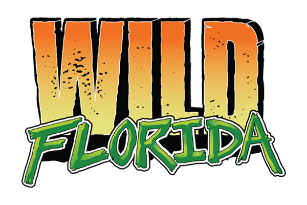 Things to Do in Orlando - Wild Florida Airboat Ride 