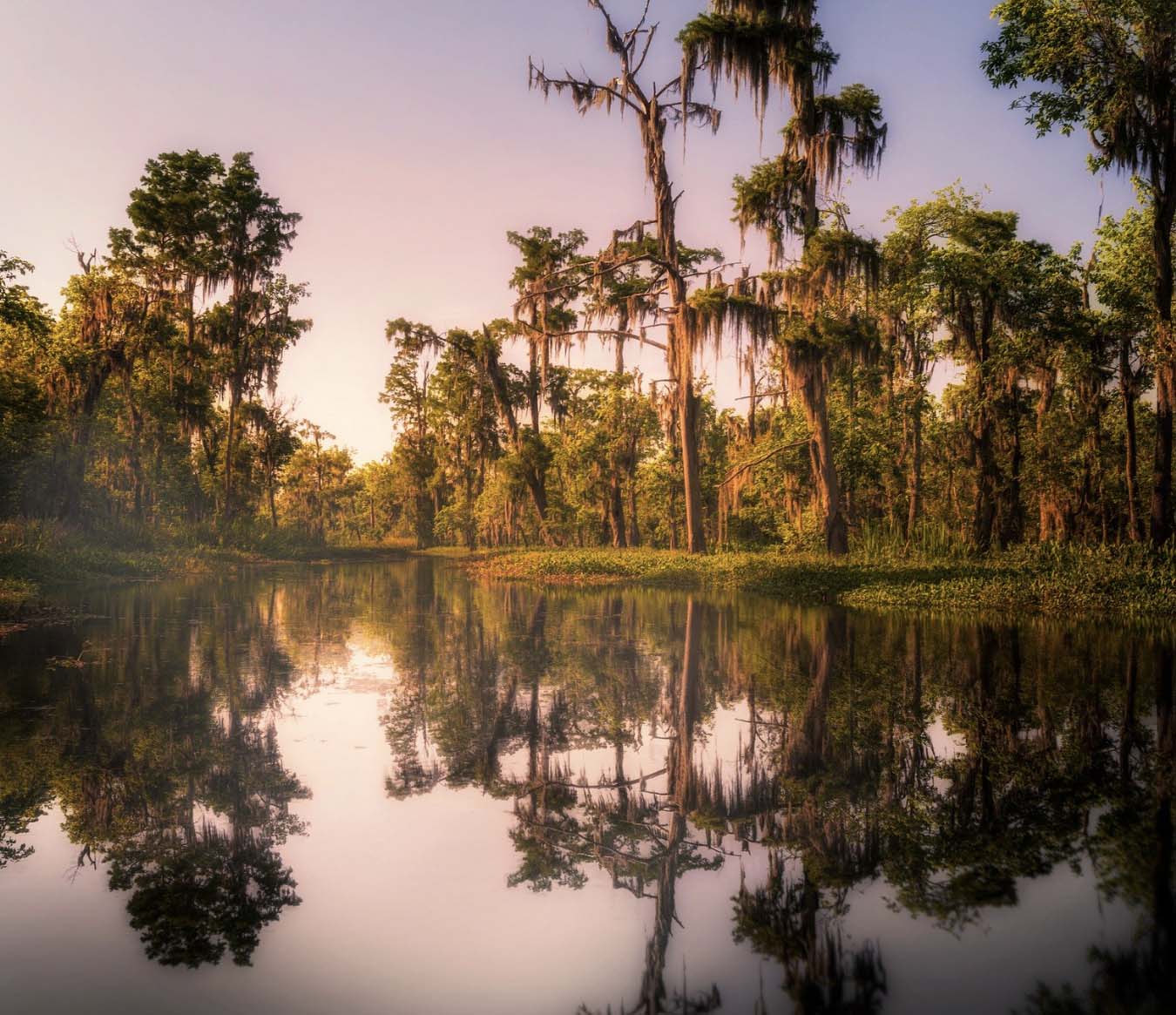 Things to Do in New Orleans - Gator Tour 