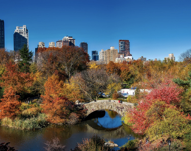 Things to Do in New York City - Central Park