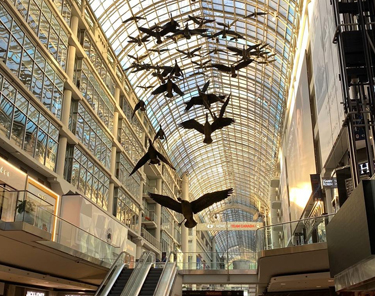 Things to Do in Toronto - Eaton Centre