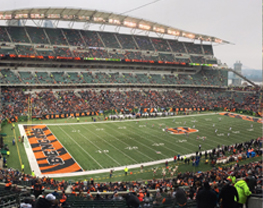 Dallas Stars at Cincinnati Bengals