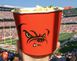 Cincinnati Bengals at Cleveland Browns