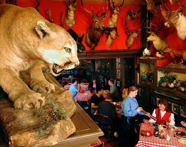 Where to Eat In Denver - Buckhorn Exchange Restaurant