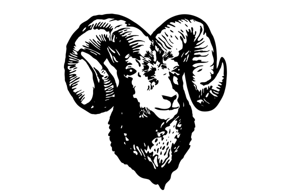 Where to Eat In Jacksonville - The Black Sheep Restaurant