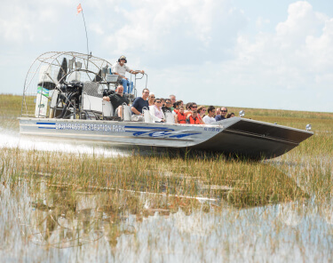 Things to Do in Sunrise Florida - Everglades - Sawgrass Recreation Park