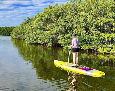 Things to Do in Tampa Bay - Walk on Water Pedalboard Tours