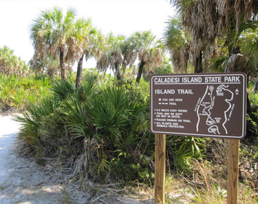 Things to Do in Dunedin - Clearwater Florida - Caladesi Island State Park