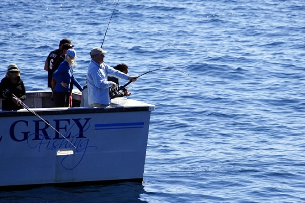 Things to Do in Miami - Deep Sea Fishing