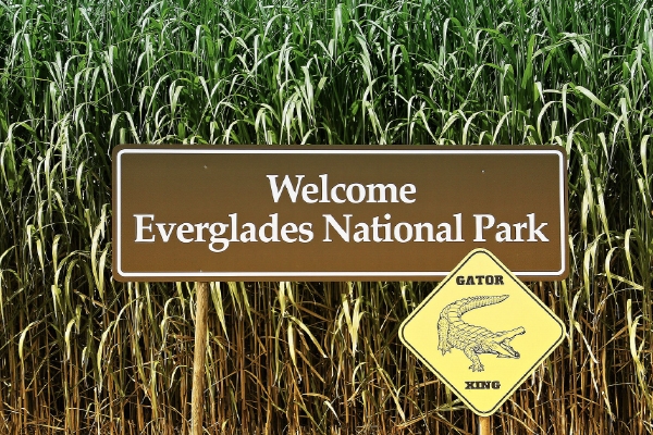 Things to Do in Miami - Florida Everglades Tour