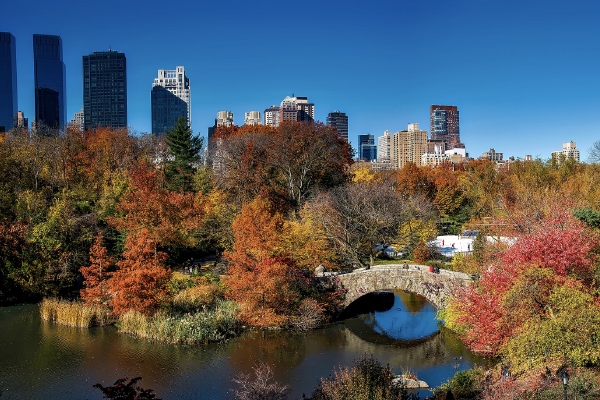 Things to Do in New York City - Central Park