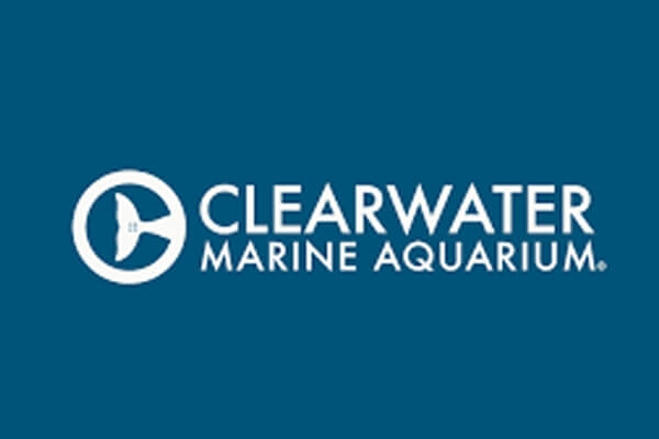 Things to Do in Dunedin - Clearwater Florida - Clearwater Marine Aquarium