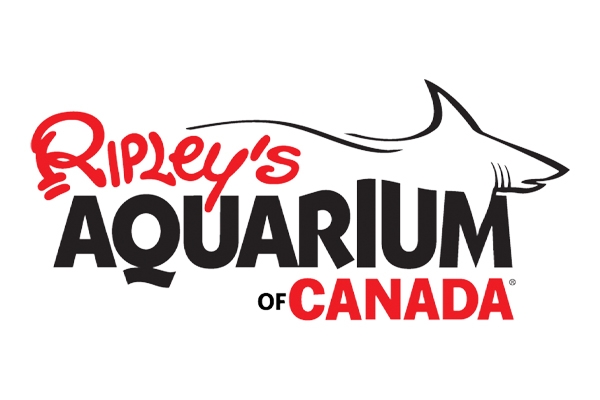 Things to Do in Toronto - Ripley’s Aquarium of Canada