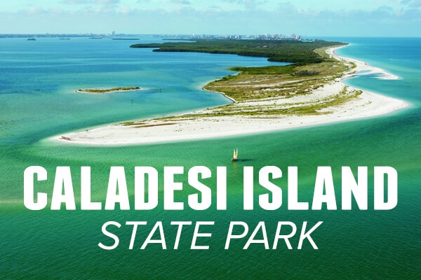 Things to Do in Dunedin - Clearwater Florida - Caladesi Island State Park